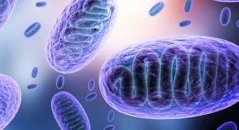 Odisha Reports First Case of Black Fungus Disease