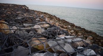 Odisha Govt signs MoU with NIOT for climate resilient coastal protection measures