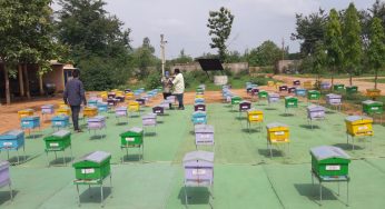 KVIC Distributes Beehives and Bee Colonies to Women SHG in Kalahandi 