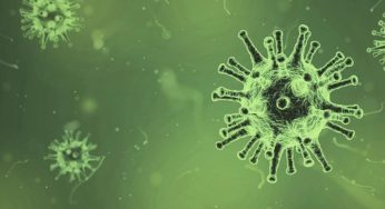 After Black, White and Yellow Fungus, Now Green Fungus Emerges As A New Threat