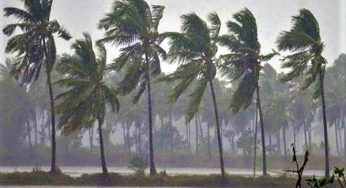 SRC Issues Warning to Fishermen as IMD Predicts Low Pressure Over BoB