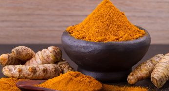 Drones are utilized to transport Lakadong turmeric from Meghalaya