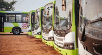 CRUT to Provide Special Bus Service for Rath Yatra Festival