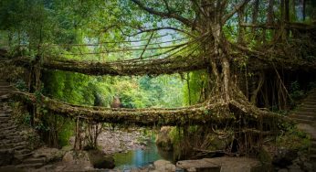 Living Root Bridges of Meghalaya included in UNESCO’s tentative list of World Heritage Sites