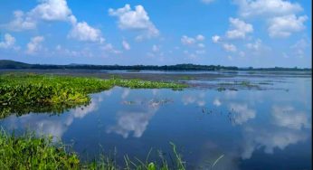 Odisha CM launches ‘Ama Pokhari’ scheme to rejuvenate wetlands in urban areas