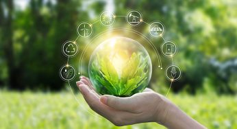 Think Green for Jobs; Go Green for A Decarbonized World