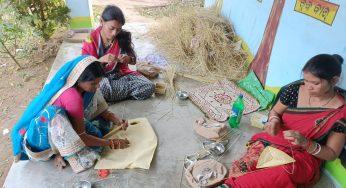 Crafting a golden story with grass