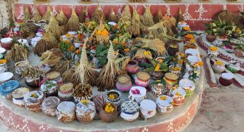 Festival of indigenous seeds at Dasapalla promotes ecological farming