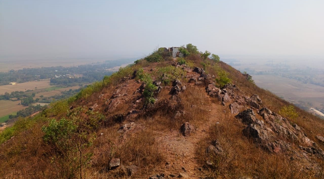 In search of Buddhist remains ASI starts excavation at Parabhadi hill