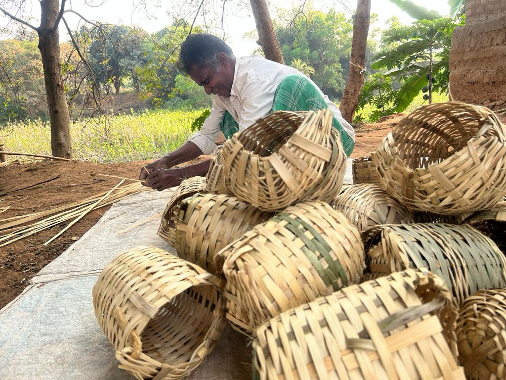 Youths install artificial nests for house sparrow
