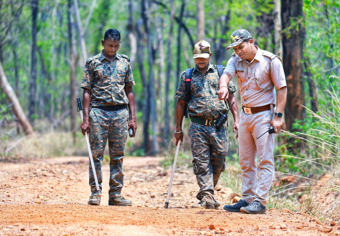 Debrigarh Sanctuary to conduct a survey of carnivores and herbivores