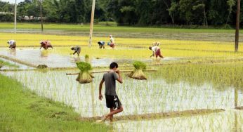 Union Cabinet Approves Rationalization of Agricultural Schemes to Boost Sustainable Farming and Food Security