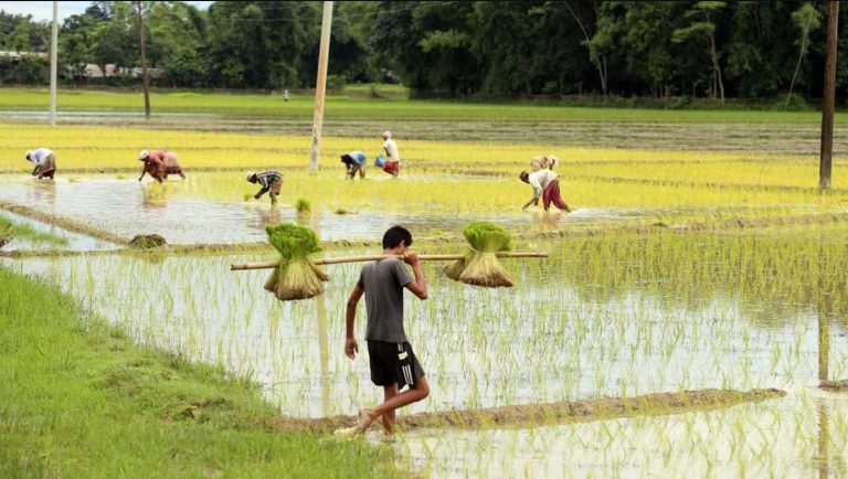 farmers