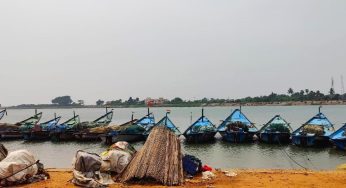 Empowering Women from the Fishing Community in Odisha: A Struggle for Recognition and Livelihood