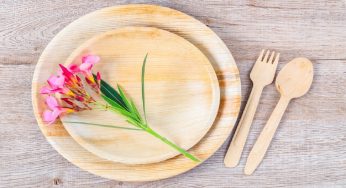 Chief Secretary of Odisha Urges Plastic-Free Picnics for a Greener Tomorrow