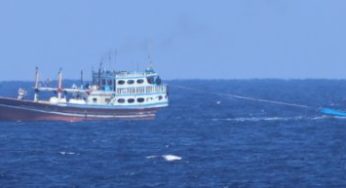 Indian Navy’s INS Sumitra Ensures Safe Release of Hijacked Iranian Fishing Vessel