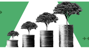 Govt preparing Guidelines for Prevention of Greenwashing by companies with a view to protect consumer interest