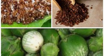 Seven Traditional Products from Odisha Receives Geographical Indication Tags