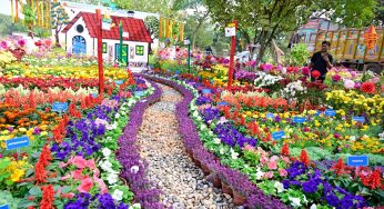 Floral Extravaganza Blooms in Ekamra Kanan: Annual Flower Show-2024 Unveiled