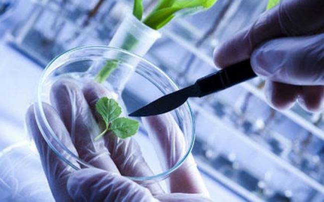 Union Cabinet Approves ‘Bio-RIDE’ Scheme to Boost Biotechnology Innovation and Entrepreneurship