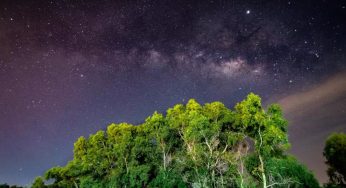 Pench Tiger Reserve Emerges as India’s First Dark Sky Park, Fifth in Asia