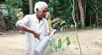 78-Year-Old Environmentalist Dukhu Majhi to Receive Padma Shri for Green Crusade