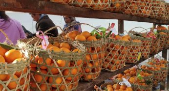 Fourth Annual Orange Festival Inaugurated in Nagaland