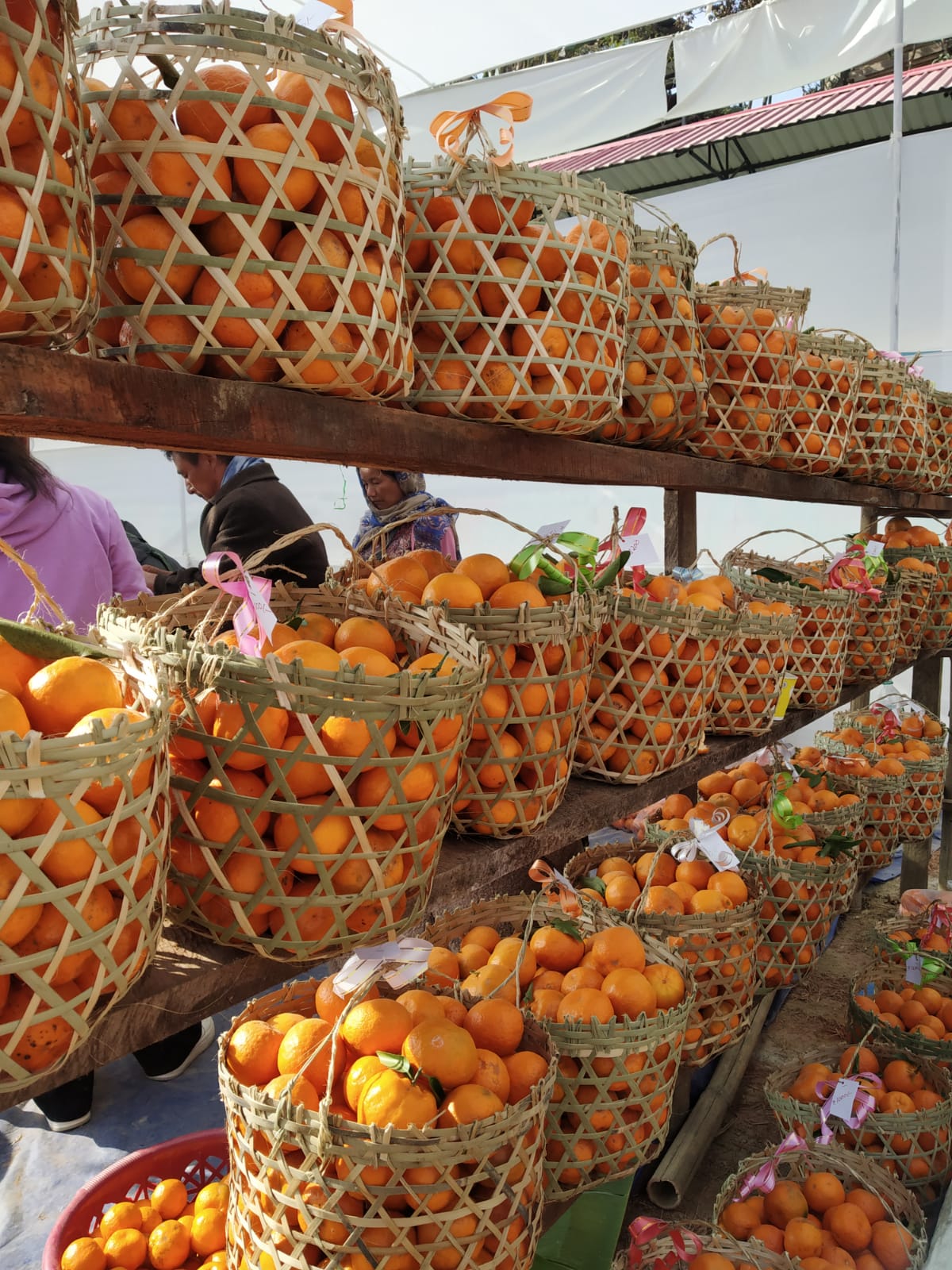 Fourth Annual Orange Festival Inaugurated in Nagaland