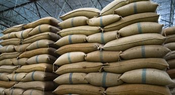 Odisha to Install CCTV and GPS in Mandis for Transparent Paddy Transport