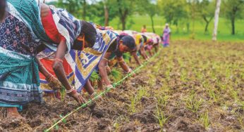 Krushi Odisha to Celebrate Women in Agriculture