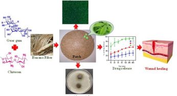 Banana Fiber-based Wound Dressing: A Sustainable Breakthrough in Wound Care