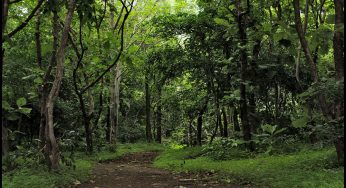 Gupteswar Forest in Koraput District Attains Biodiversity Heritage Site Status