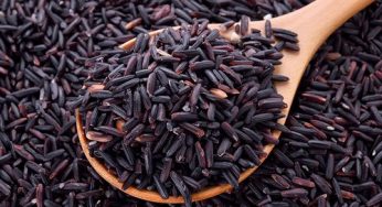 Koraput’s GI-Tagged Kala Jeera Rice Sent to Puri Jagannath Temple for Mahaprasad