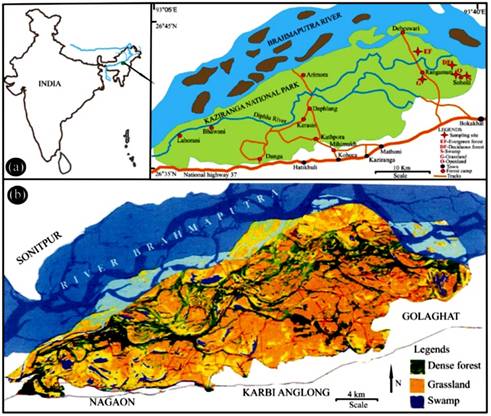 Modern Analogue Dataset Illuminates Kaziranga National Park’s Climate and Vegetation History