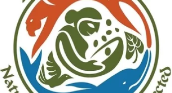 Ministry Reveals Environmental Clearance Statistics for Projects in Eco-Sensitive Zones