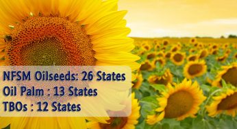 Government Initiatives Aim to Boost Edible Oil Production and Reduce Import Dependency