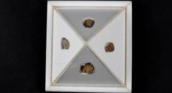 Historic Journey: Sacred Relics of Lord Buddha Embark on First-ever Exposition to Thailand