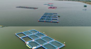 Union Cabinet Extends Fisheries Infrastructure Development Fund (FIDF) to Boost Fisheries Sector