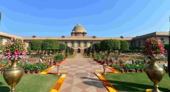 Amrit Udyan at Rashtrapati Bhavan Welcomes Public Amidst Extended Hours for Udyan Utsav-1, 2024