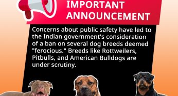 Government Mulls Ban on “Ferocious” Dog Breeds: Public Safety in Focus