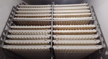 Reactivation of Duck Breeding Farm in Khapuria, Cuttack to Boost Livestock Farming