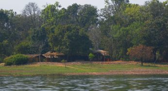 Debrigarh’s Bat Island Introduces “Island Café” , a Unique Culinary Experience in the Lap of Nature