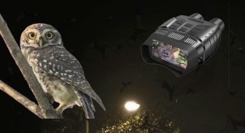 Nandankanan Zoological Park Launches Unique ‘Night Out At Zoo’ Wildlife Education Program