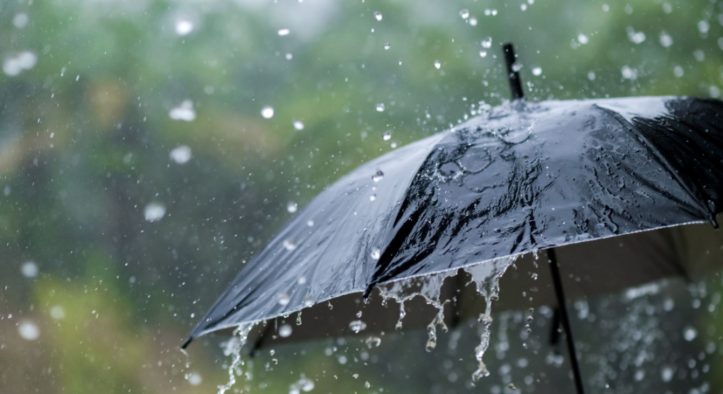 Thunderstorm Alert in Odisha: IMD Issues Orange Warning for Six Districts