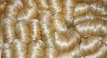 Government Announces Minimum Support Prices for Raw Jute in 2024-25 Season, Ensuring Farmers’ Welfare