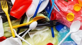 India Struggles with Plastic Pollution Despite Comprehensive Bans