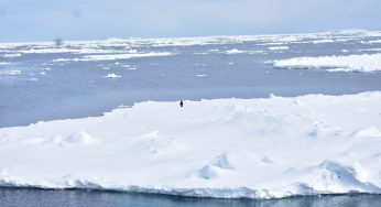 Study Reveals Unprecedented Hindrance in Antarctic Ice Expansion