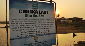 Devastating Fire Engulfs Nalbana Bird Sanctuary and Kalupada Jetty in Chilika Lake