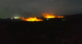 Wildfire Engulfs Chandaka Forest in Bhubaneswar