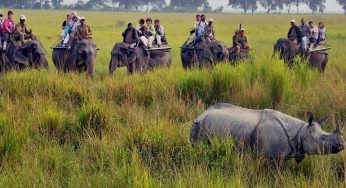 End of Safari Season at Kaziranga National Park: Elephant and Jeep Safaris Suspended